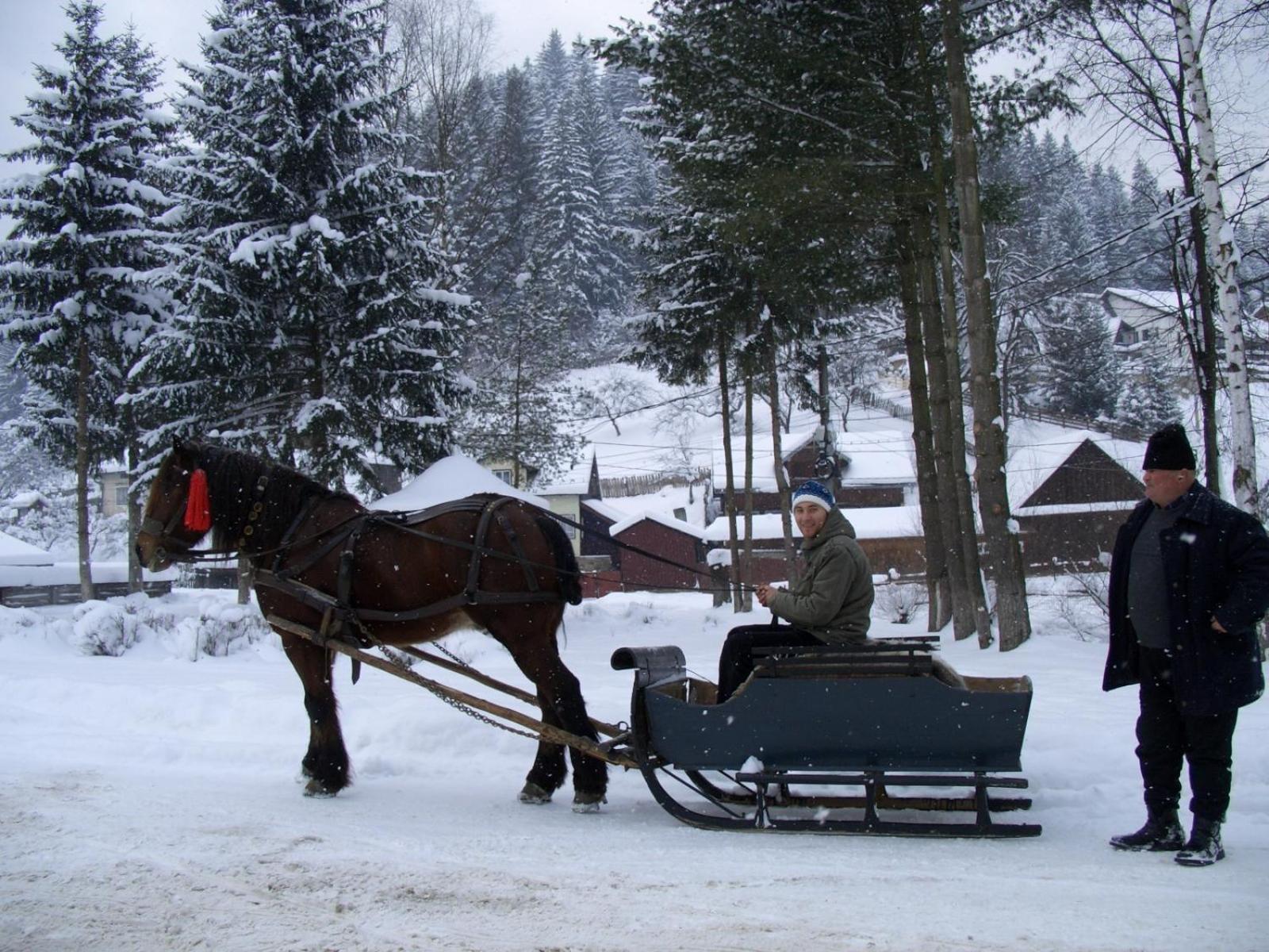 Pension Lucia Bucovina Hotel Вама Екстериор снимка