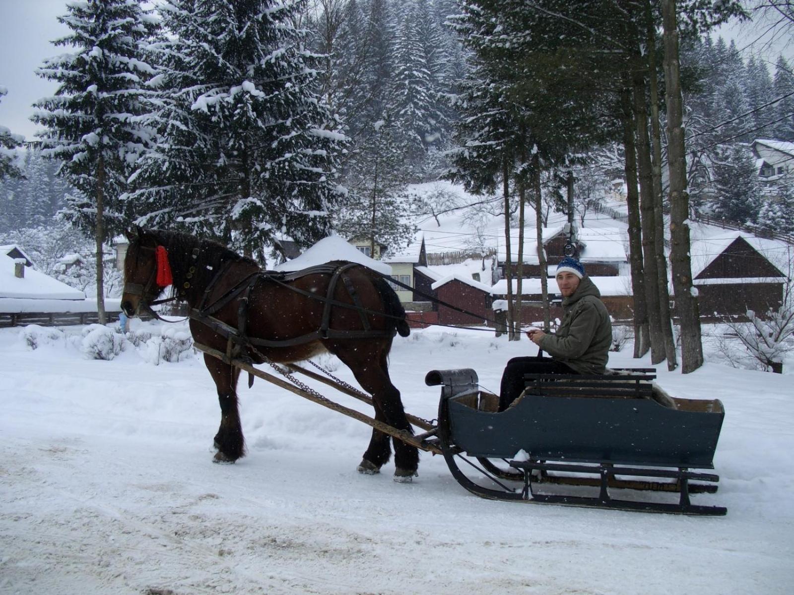 Pension Lucia Bucovina Hotel Вама Екстериор снимка