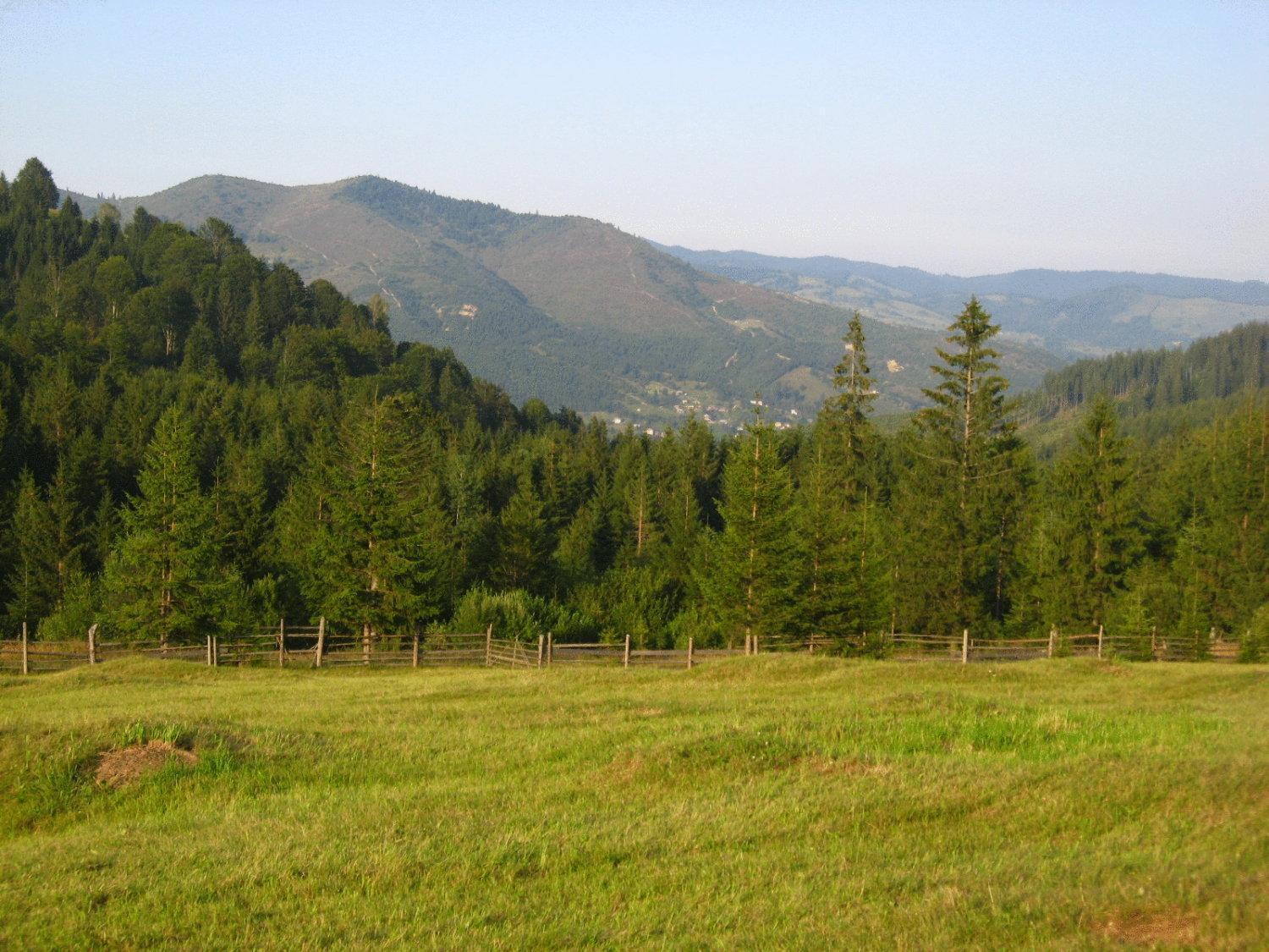 Pension Lucia Bucovina Hotel Вама Екстериор снимка